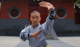 宝强哥最新爆料消息视频,最新爆料视频深度解析